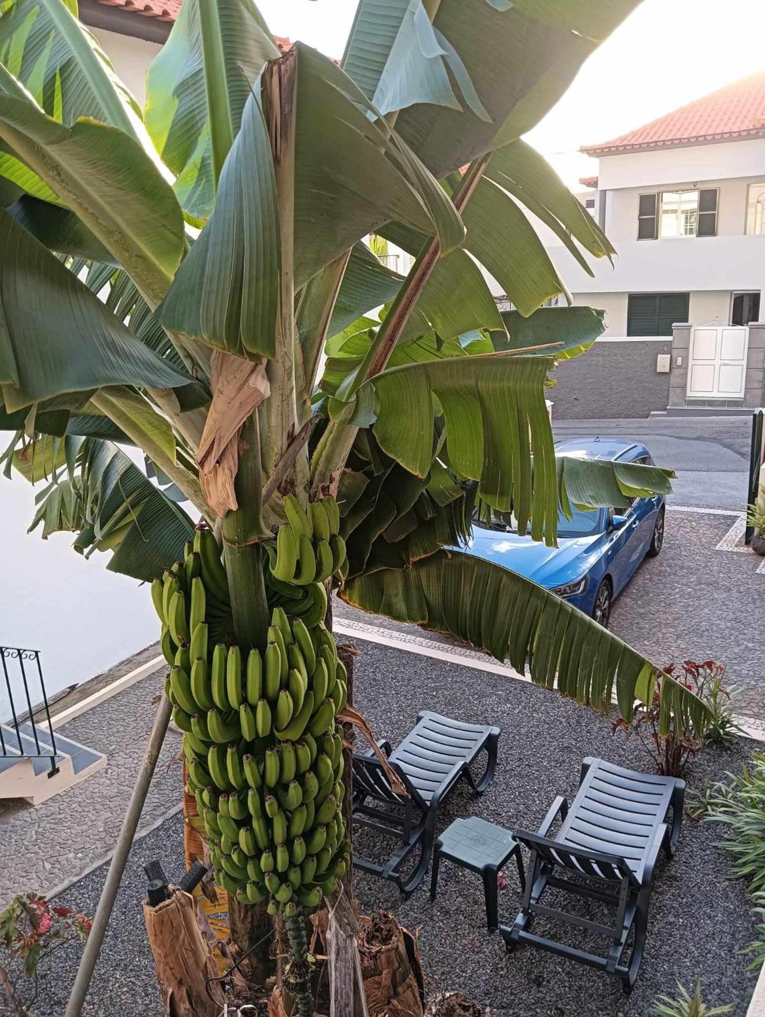 Madalena do MarMaresia'S House公寓 外观 照片
