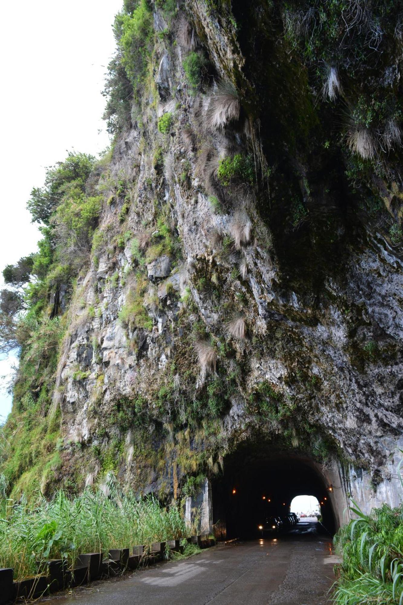 Madalena do MarMaresia'S House公寓 外观 照片